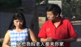 上门女婿丈母欺