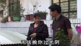 上门女婿丈母欺