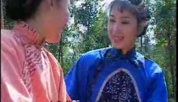 绍兴莲花落《翠姐姐回娘家》上集VCD版MP4视频下载，吕静等主演，地方戏曲资源