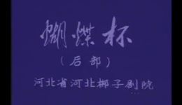 河北梆子《蝴蝶杯》下部高清MP4戏曲视频下载 - 名家演绎全剧资源下载