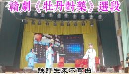 牡丹对药