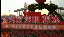 沭阳县文化馆主办淮海戏《短发天使》在线观看下载，经典地方戏曲资源