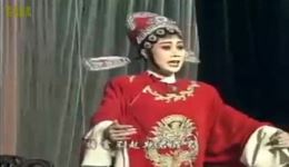 假凤虚凰