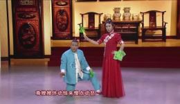 二人转《包公赔情》相阳精彩演绎，铁面无私包拯赔情经典正戏在线下载下载