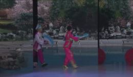 打秋千