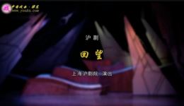 回望