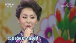黄梅戏《女驸马》选段下载周源源经典演唱，尽显传统韵味