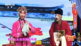 豫剧《对绣鞋》选段张仙草精彩演绎，传统戏曲韵味十足下载