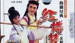 扬剧《红楼梦》上集下载｜扬州市汪琴艺术团演出，经典爱情悲剧精彩呈现下载