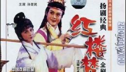扬剧《红楼梦》中集高清下载 | 扬州市汪琴艺术团经典演绎，感受传统戏曲韵味