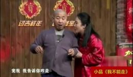 爆笑小品《我不能走》孙丽荣王小利主演，全场爆笑，在线观看下载下载