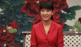 真情不扰