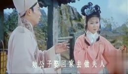 黄梅戏《龙女》选段在线观看，马兰黄新德经典演绎，高清戏曲资源下载下载