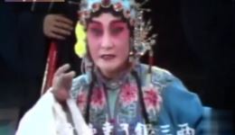 河北梆子《陈三两》张惠云精彩演绎，公堂智斗贪官，尽显刚正气节！