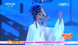 黄梅戏《浮生六记》选段吴美莲刘国平倾情演唱，经典戏曲视听盛宴在线畅享下载