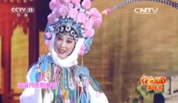 黄梅戏《百花赠剑》选段吴美莲演唱，经典戏曲在线观看下载下载