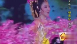 韩再芬黄梅戏《杨贵妃》华清池上月儿高 戏曲视频MP4下载 免费高清资源下载