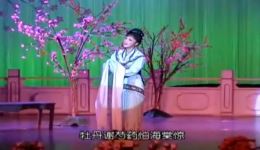 红楼梦·葬花