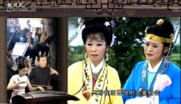 晚娘戏子