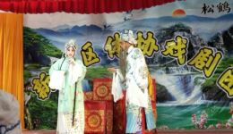 楚剧《三杀母》高清MP4视频下载 新洲梨园剧团正版戏曲资源