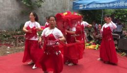 河南豫剧《抬花轿》美女专业演唱，唢呐伴奏超好听，戏曲资源下载