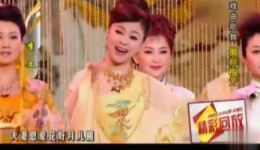 韩再芬吴亚玲主演黄梅戏《徽粹梅芳》高清MP4视频下载，经典徽州题材戏曲下载