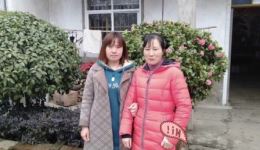 黄梅戏《龍女》全剧视频MP4高清下载，经典神话戏曲资源一键获取