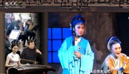 黄梅戏《葵花井》选段夫君进京赶考音信杳，凄美故事在线观看与下载