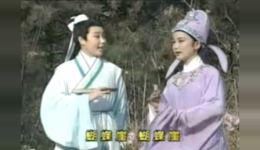 蝴蝶的传说