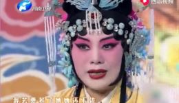 刘忠河苗文华豫剧《打金枝》选段下载 - 名家经典戏曲MP4视频资源下载