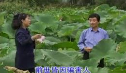 云南山歌剧《老来难》上部高清MP4视频下载，民间经典剧目资源
