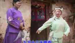 云南山歌剧《老来难》下部MP4视频下载，民间现实题材经典剧目资源