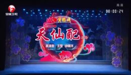 黄梅戏《天仙配》选段王莹、徐镭洋精彩演绎，经典爱情唱段在线欣赏