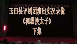 评剧《狸猫换太子》下集高清下载 玉田县评剧团精彩演绎 经典戏曲不容错过