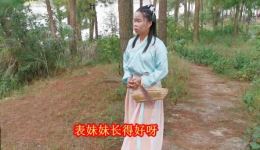 贵州山歌《笑奴家年小未成人》高清视频MP4下载，正版民间小调资源