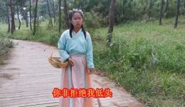 贵州山歌《心在滴血泪流出》视频MP4下载，正版高清资源一键获取