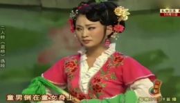 东北二人转《蓝桥》选段下载陈小飞、七岁红经典演唱，戏曲视频MP4资源速取下载