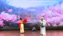 桃花村