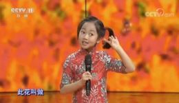 黄梅戏《打猪草》选段张建国与张雯菁精彩演绎，感受传统戏曲魅力下载