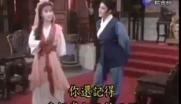 杨丽花歌仔戏《薛丁山与桃花女樊梨花》都马调精选,经典闽南戏曲在线下载 杨丽花歌仔戏《薛丁山与桃花女樊梨花》都马调精选,经典闽南戏曲在线下载