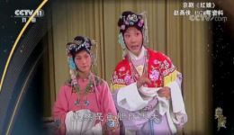 典藏京剧《红娘》赵燕侠宋丹菊演唱，经典戏曲在线畅享