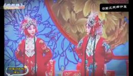 评剧《花为媒》全剧视频mp4下载，新凤霞李忆兰主演经典剧目下载