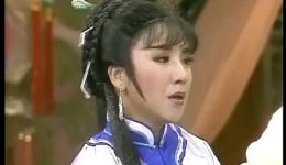 双枪陆文龙