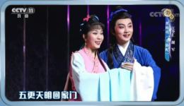 黄梅戏《天仙配》选段在线观看，江李汇谢军深情演绎，经典唱段不容错过下载