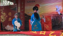 茂腔《张郎休妻》全剧视频下载管秀娥、吴瑞芹经典演唱，高清mp4资源