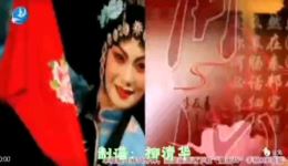 潘杨案