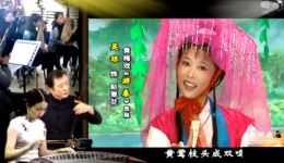 黄梅戏《游春》片段在线观看 吴琼精彩演绎黄梅戏名家名段下载