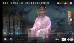 黄梅戏《女附马》第一场视频mp4下载 韩再芬严凤英经典演绎下载