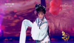 越剧《红楼梦·葬花》李敏演唱，王派花旦演绎经典，唱腔甜美，在线观看越剧葬花精彩片段下载