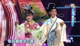 桃花扇